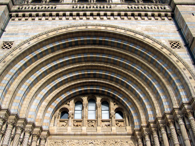 Natural History