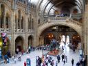 image/_61naturalhistory1.jpg, 5K